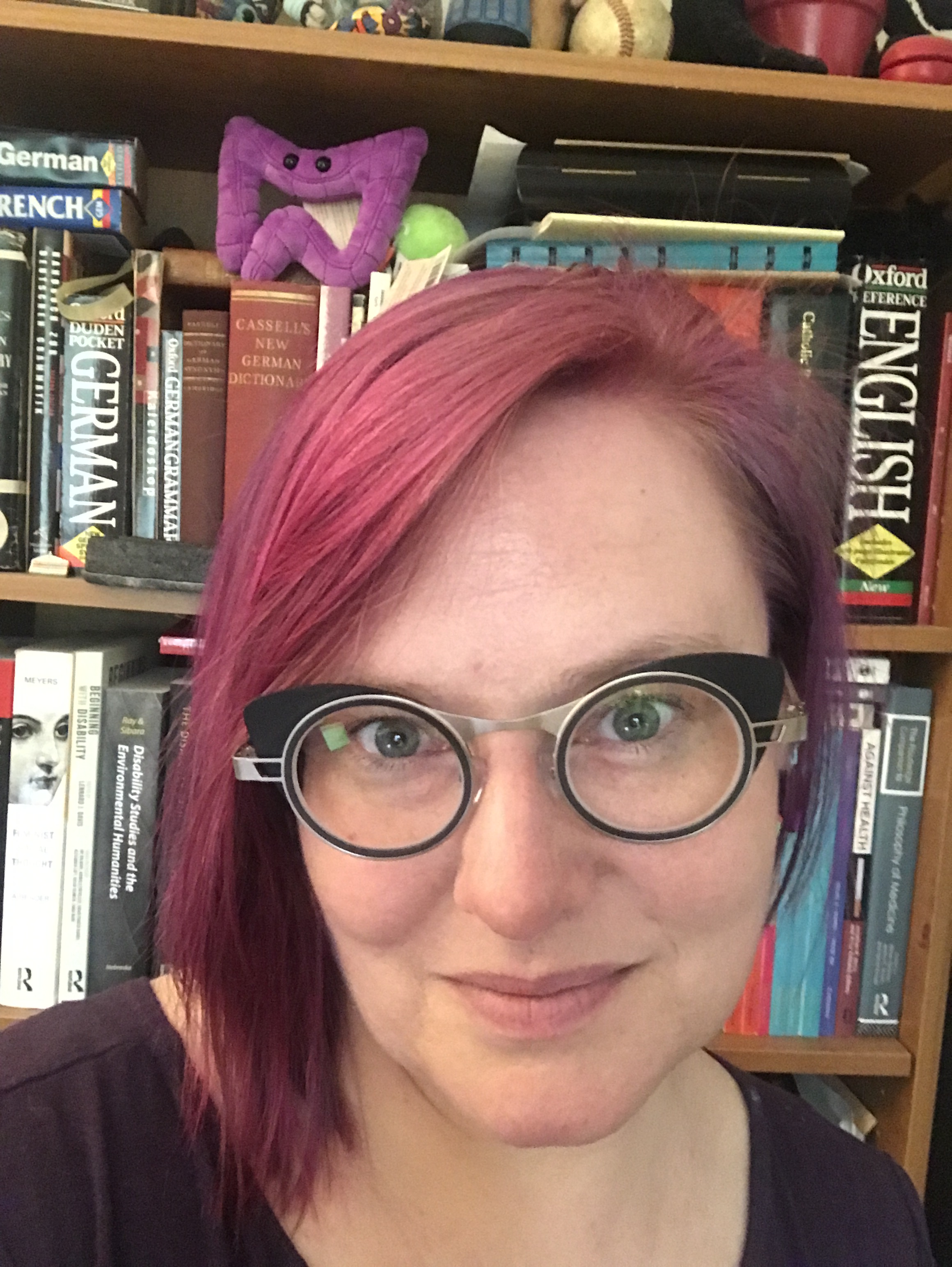 Dialogues on Disability: Shelley Tremain Interviews Jane Dryden ...